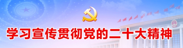 学习宣传贯彻党的二十大精神